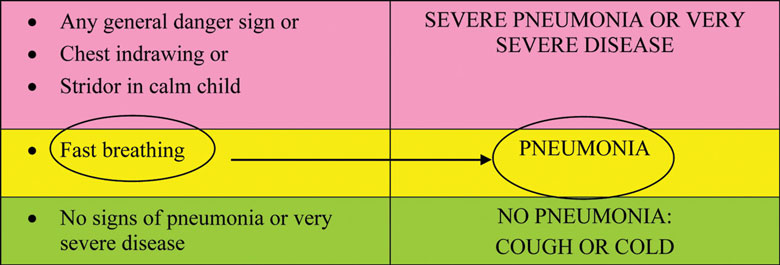 A classification chart for pneumonia.