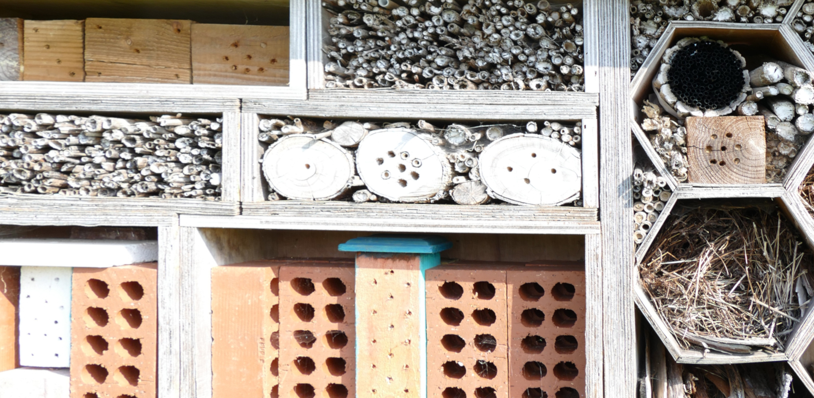 Bee Hotels