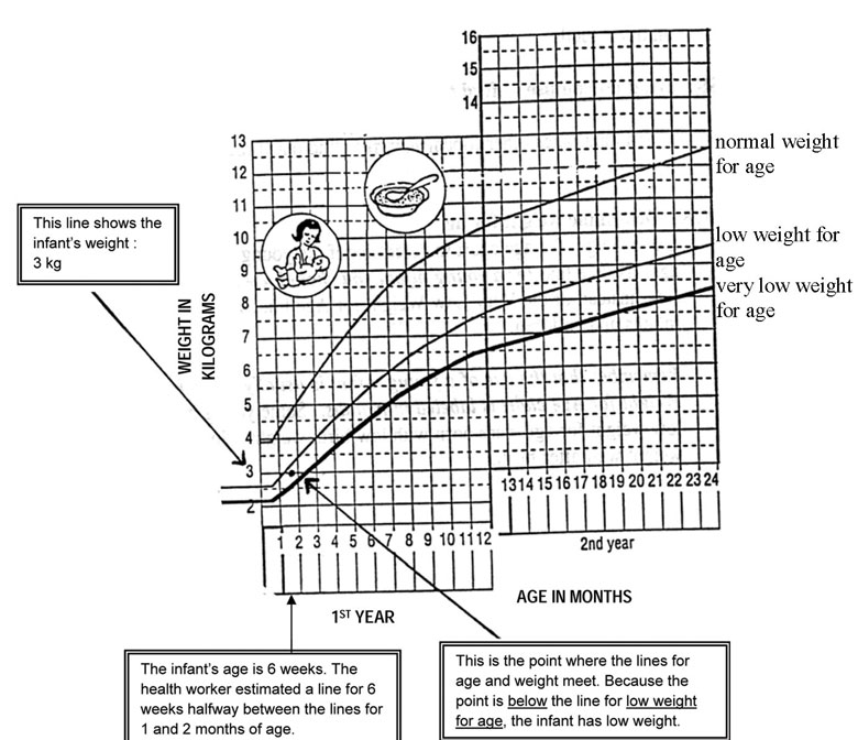 Weight for age chart.