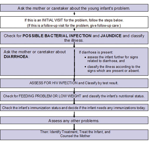A flowchart to assess and classify the sick young infant.