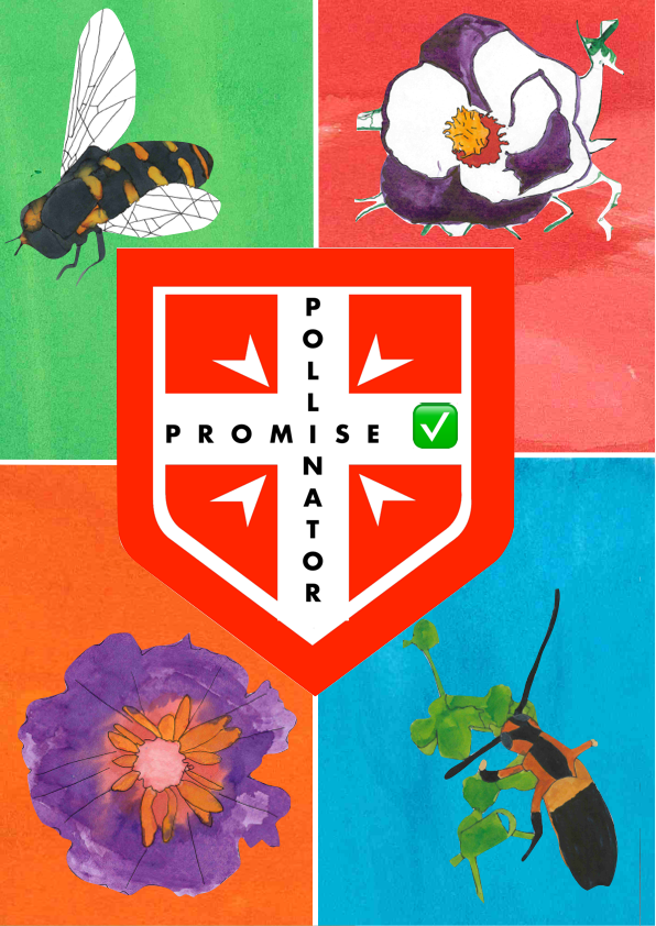 Polli Promise