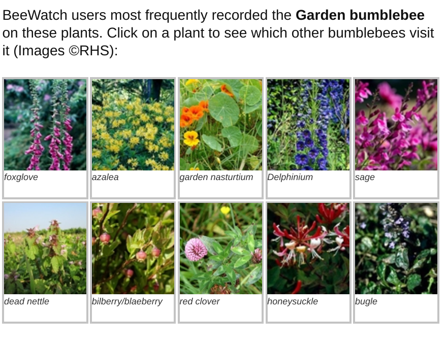 screenshot of planting for pollinators