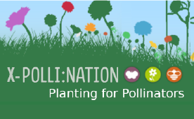 plantingforpollinators logo