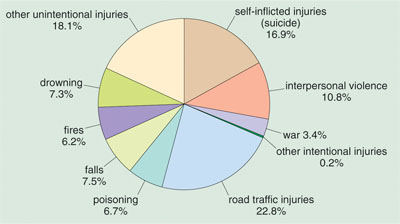Pie chart of deaths worldwide to intentional and accidental injuries among people aged 15–45 years