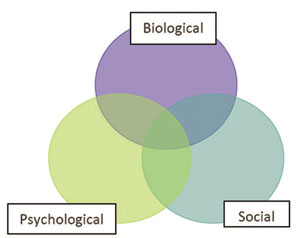 The biopsychosocial model of mental illness