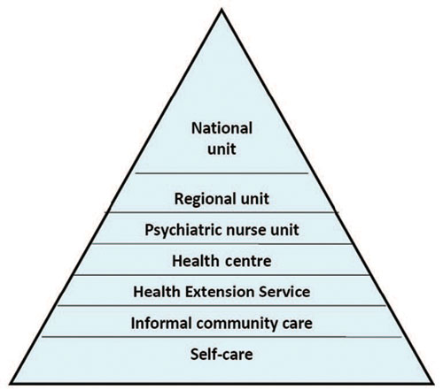 The structure of the mental healthcare system
