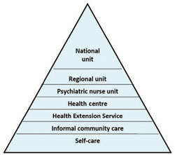 The structure of the mental healthcare system