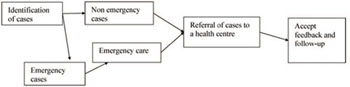 Schematic representation of the process of mental health management