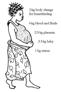 Pregnant woman and the amount of weight she will gain