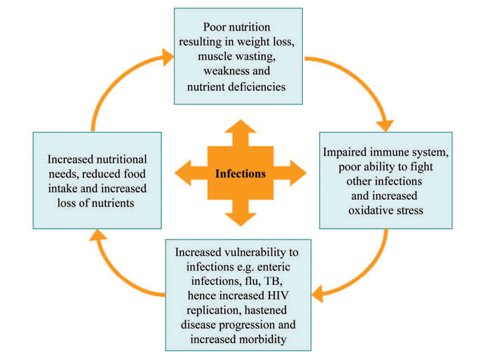 Intergenerational cycle of malnutrition