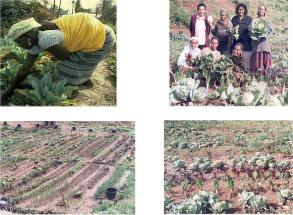 Pictures taken during a visit to women’s income generating project