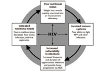 Vicious cycle of malnutrition and HIV
