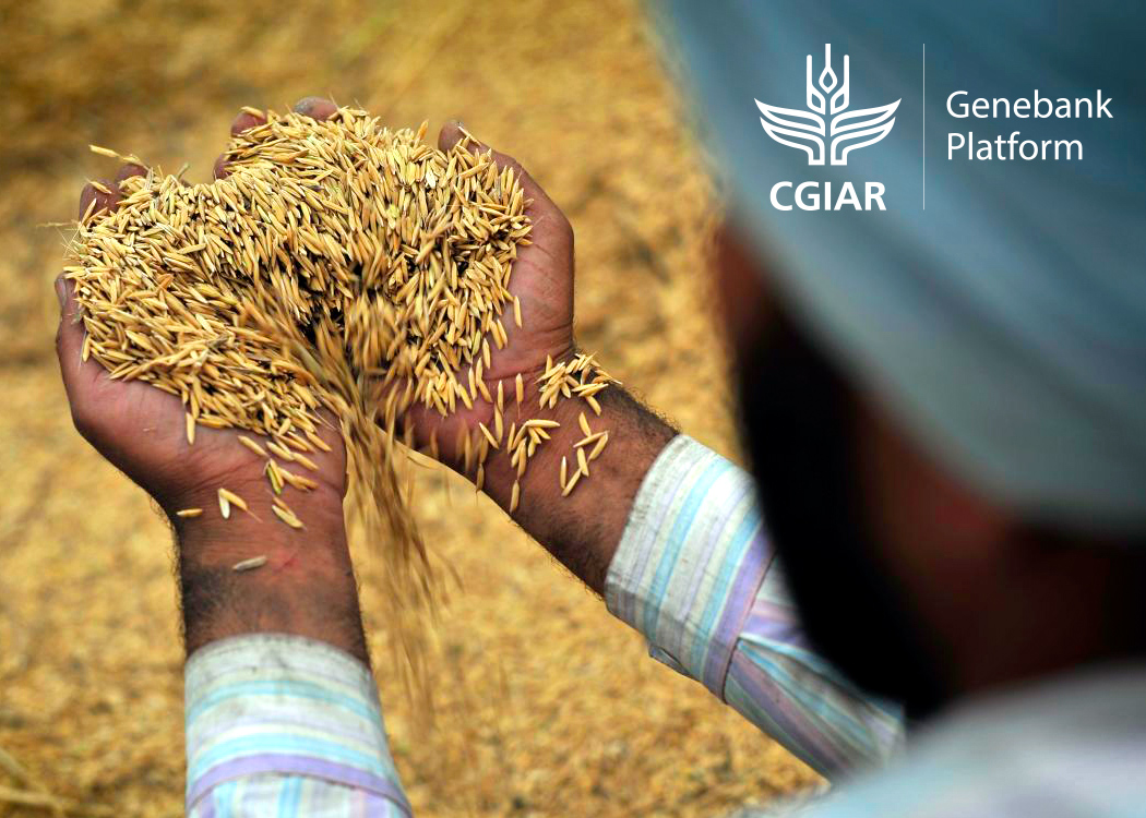 Genetic Resource Policies for CGIAR Scientists