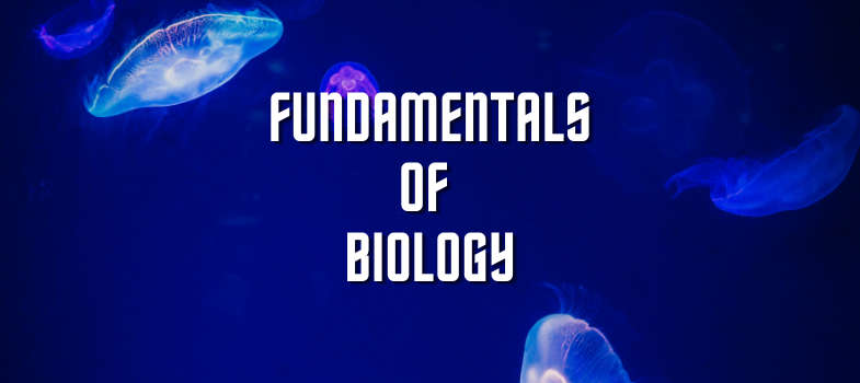 Fundamentals of Biology