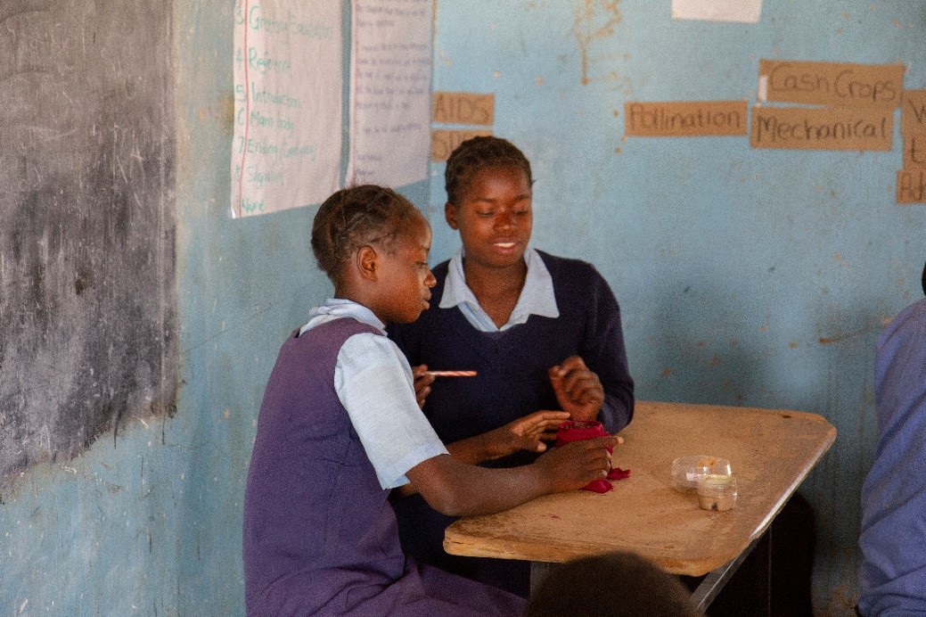 Pupils working in pairs in Zambian classroom