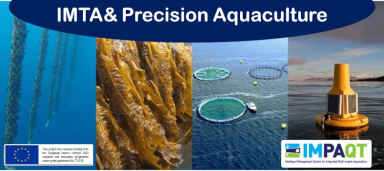 Integrated Multi-Trophic Aquaculture and Precision Aquaculture