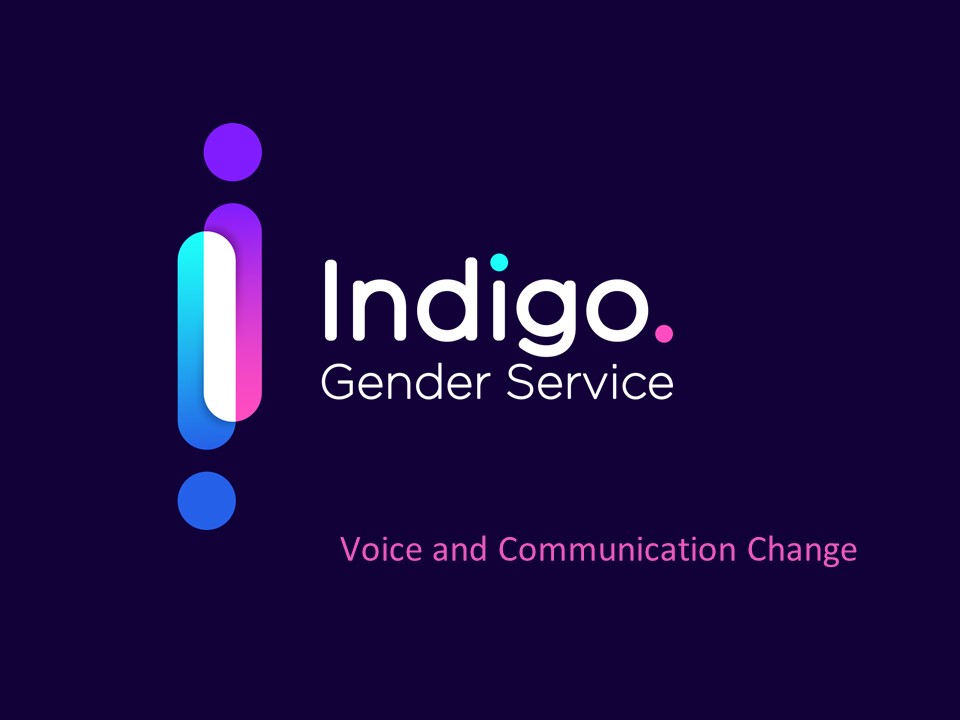 Voice and Communication Change