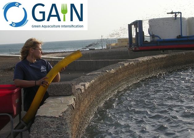 Introduction to the GAIN Project and Courses