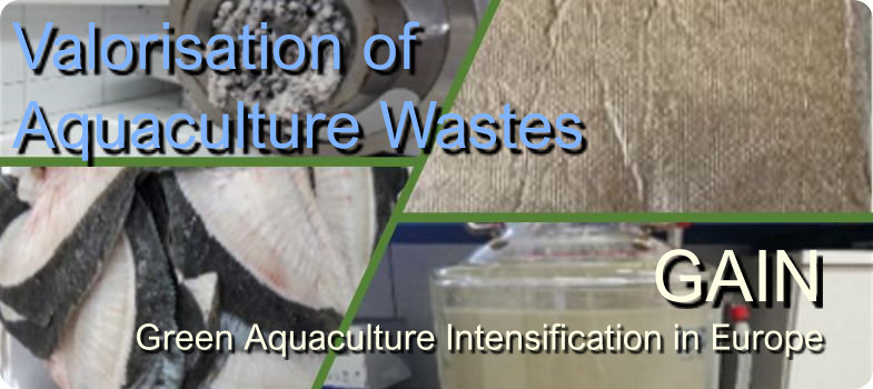 Valorisation of aquaculture wastes: An approach to the circular economy