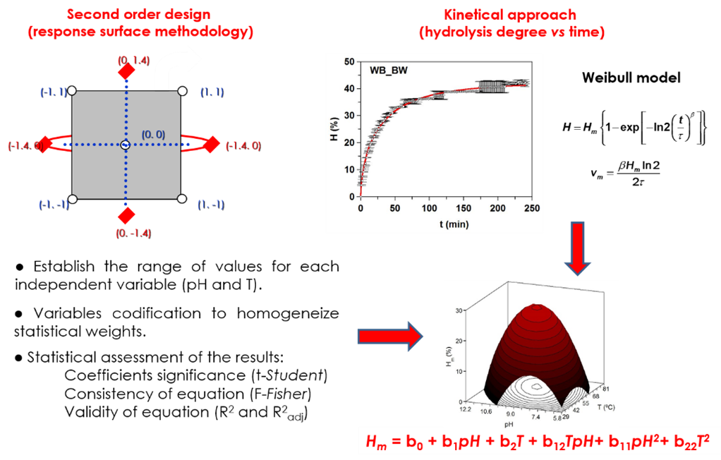 Complex diagram showing mathematical models used in enzyme hydrolysis optimisation including Weibull model. 