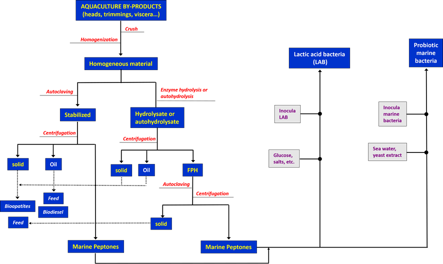 A complex hierarchy tree showing aquaculture byproducts at the top and then sequential process steps and options below.