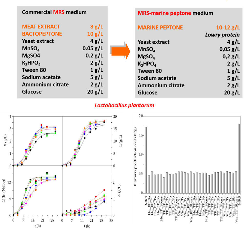 This figure combines a Table showing commercial culture medium formula and below that the growth of Phaeobacter sp.