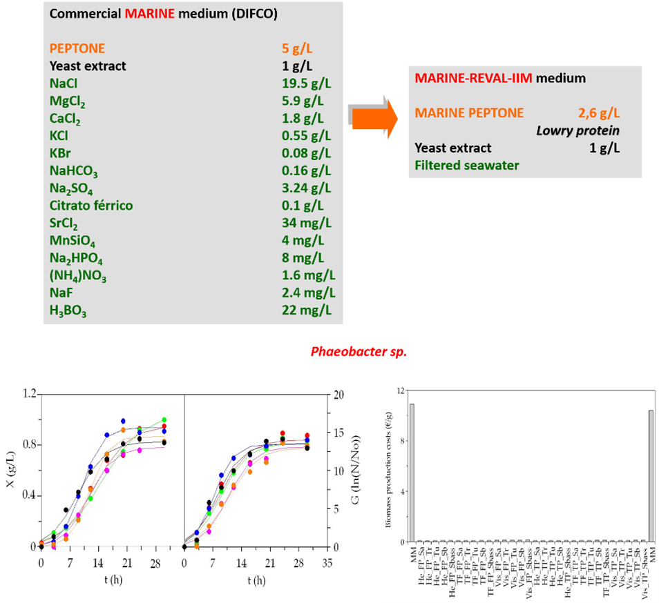Figure with formula for culture media at top with growh curves for Phaeobacter sp. below.