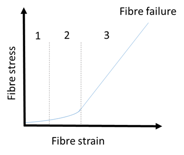 A chart of fibre stress against fibre strain with stress increasing with strain.