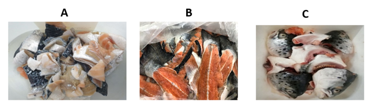Three photos; one showing fish skin, another trimmings and frames and the third salmon heads