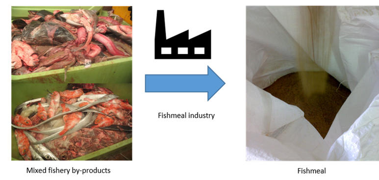 A photo of fishery byproducts and one of fishmeal are linked by an arrow and factory symbol