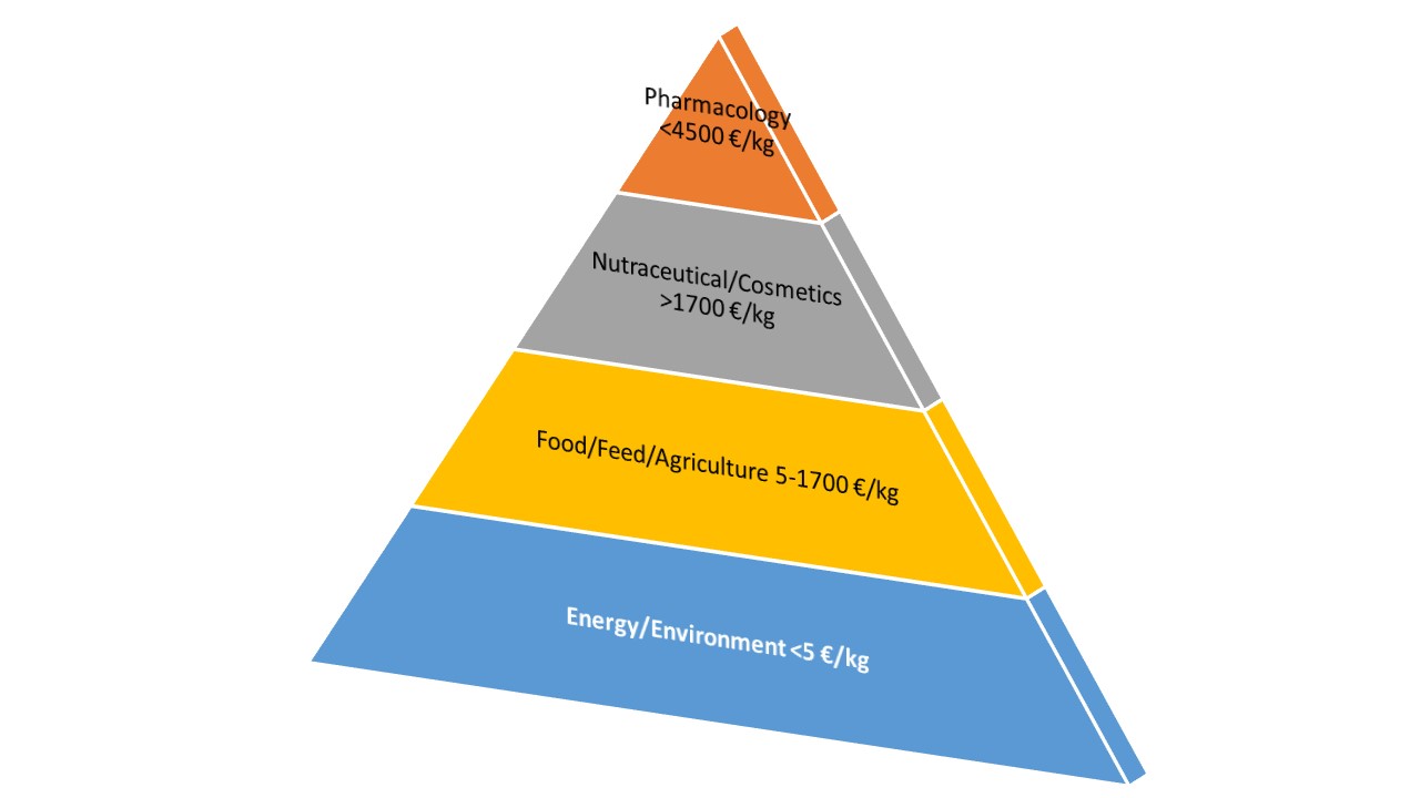 A pyramid with 4 levels starting with energy and environment with pharmacology at the top.