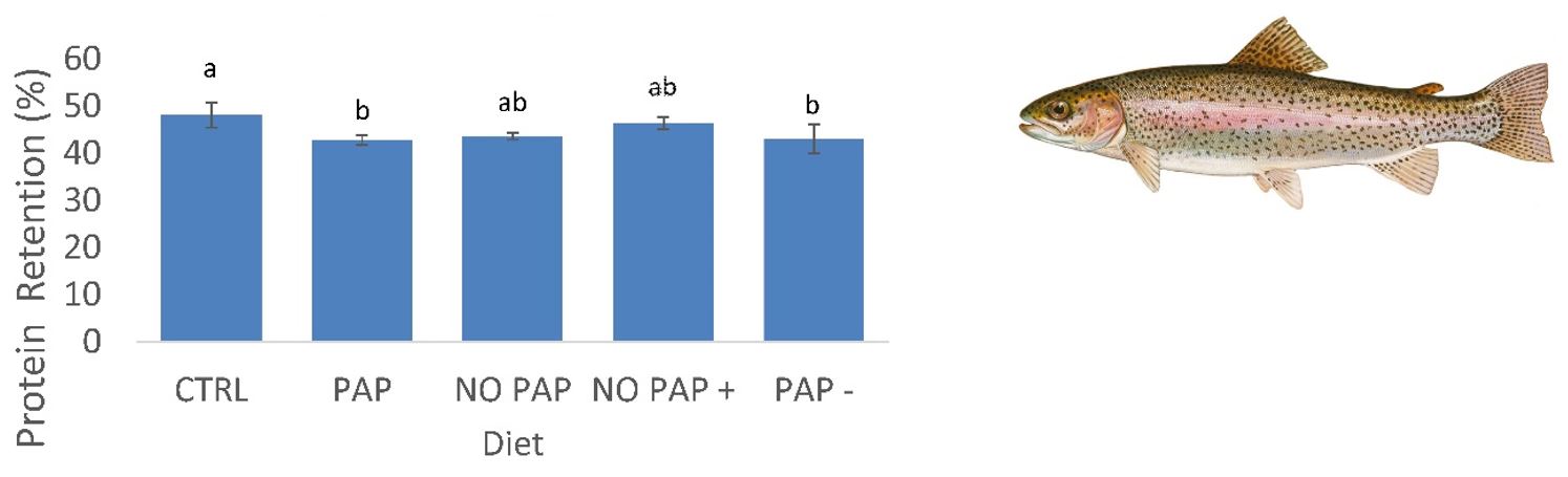 The figure shows a chart of protein retention for a selection of diets and an illusration of a rainbow trout.