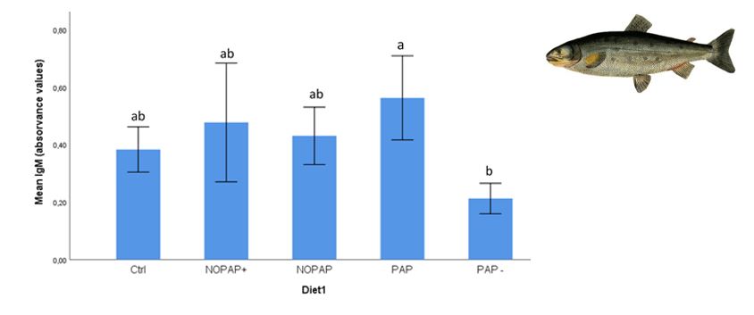 Chart showing absorbance values for four different diets. Adjacent is a picture of a raibow trout.