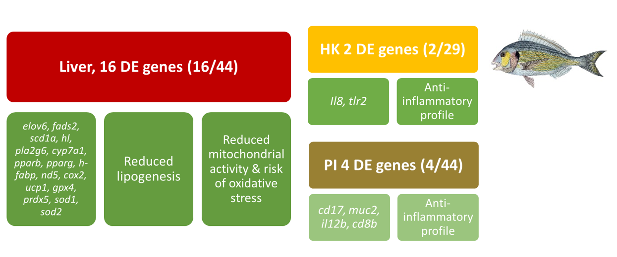 Explanatory summary of the result of the transcriptomic analysis with custom PCR arrays mentioned in the text.