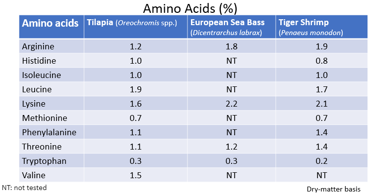 Table showing the essential amino acid requirements for Tilapia, European Sea bass and Tiger Shrimp.