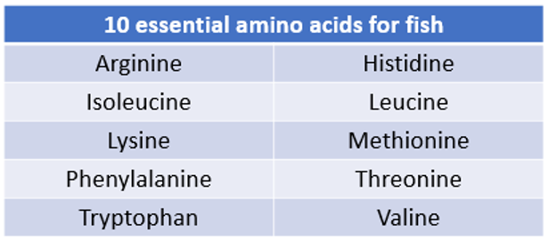Table showing the 10 essential amino acids for fish