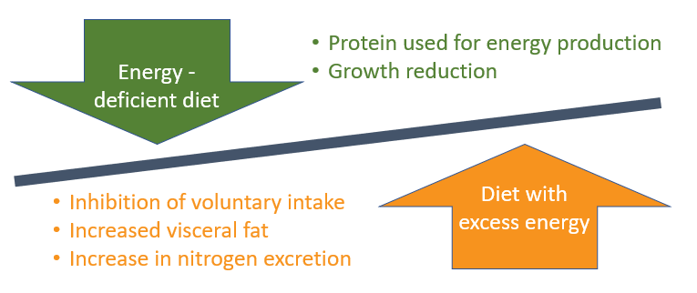  Schematic representation of the effects caused by feeding fish with deficient diets and with excess energy