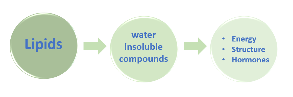 Schematic illustration of general lipid classification and functions
