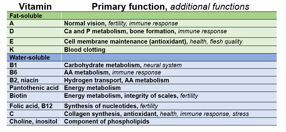 Table of primary and additional functions of vitamins in fish 