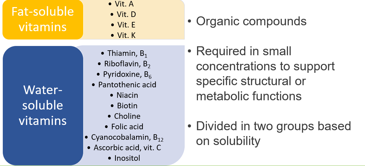 Schematic representation of fat-soluble and water-soluble vitamins
