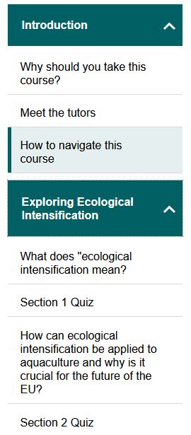 Screen capture of the left hand course navigation menu