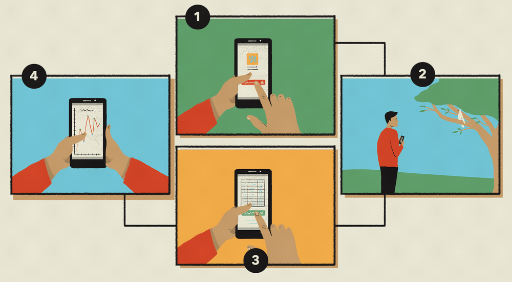 Illustration of someone following the steps to observe and record using a smartphone