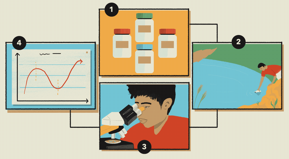 Illustration of someone collecting a water sample and analysing it at a laboratory