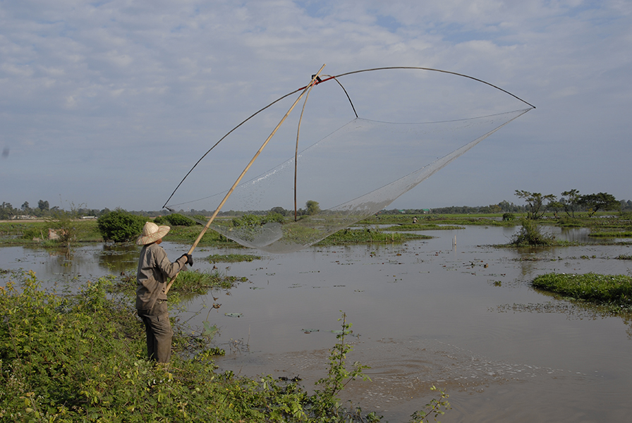 Photo of a person lifting a fishnet out of a wetland