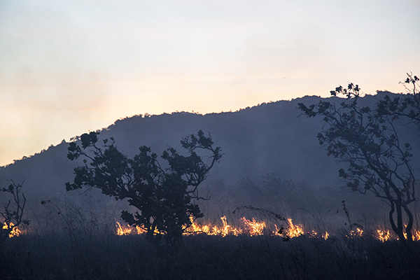 Photo of a fire showing the challenges of fire management