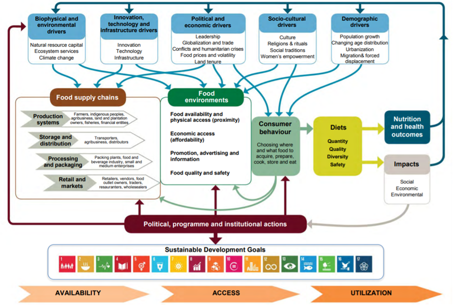 Complex diagram of connections between drivers, food supply chains, food environments, consumers and impacts