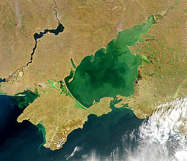 Satelite photo of Crimea showing substantial algal bloom in Sea of Azov