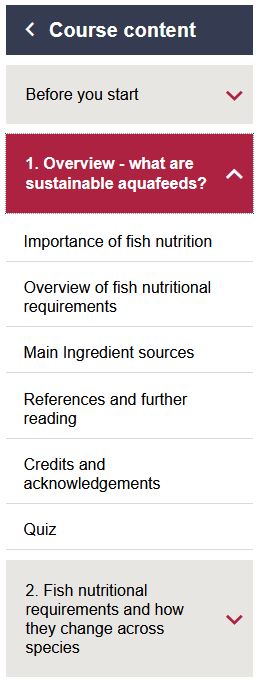 Screenshot of course navigation bar