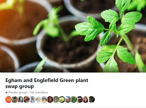 Screenshot of the "Egham and Englefield Green plant swap group" Facebook group overview page