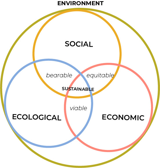 A large circle represents the system boundary of the environment. Three circles are titled ‘social’, ‘economic’, ‘ecological'